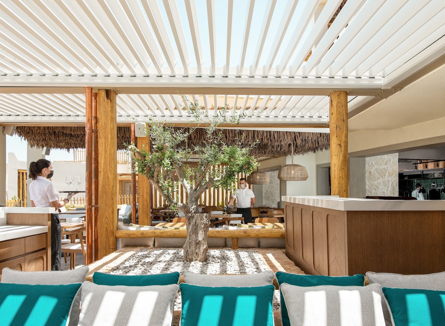 Mitsis Rinela Beach Resort bāra zona ar olīvkoku un modernu interjeru — viesmīļi apkalpo viesus gaišā, saulainā atmosfērā