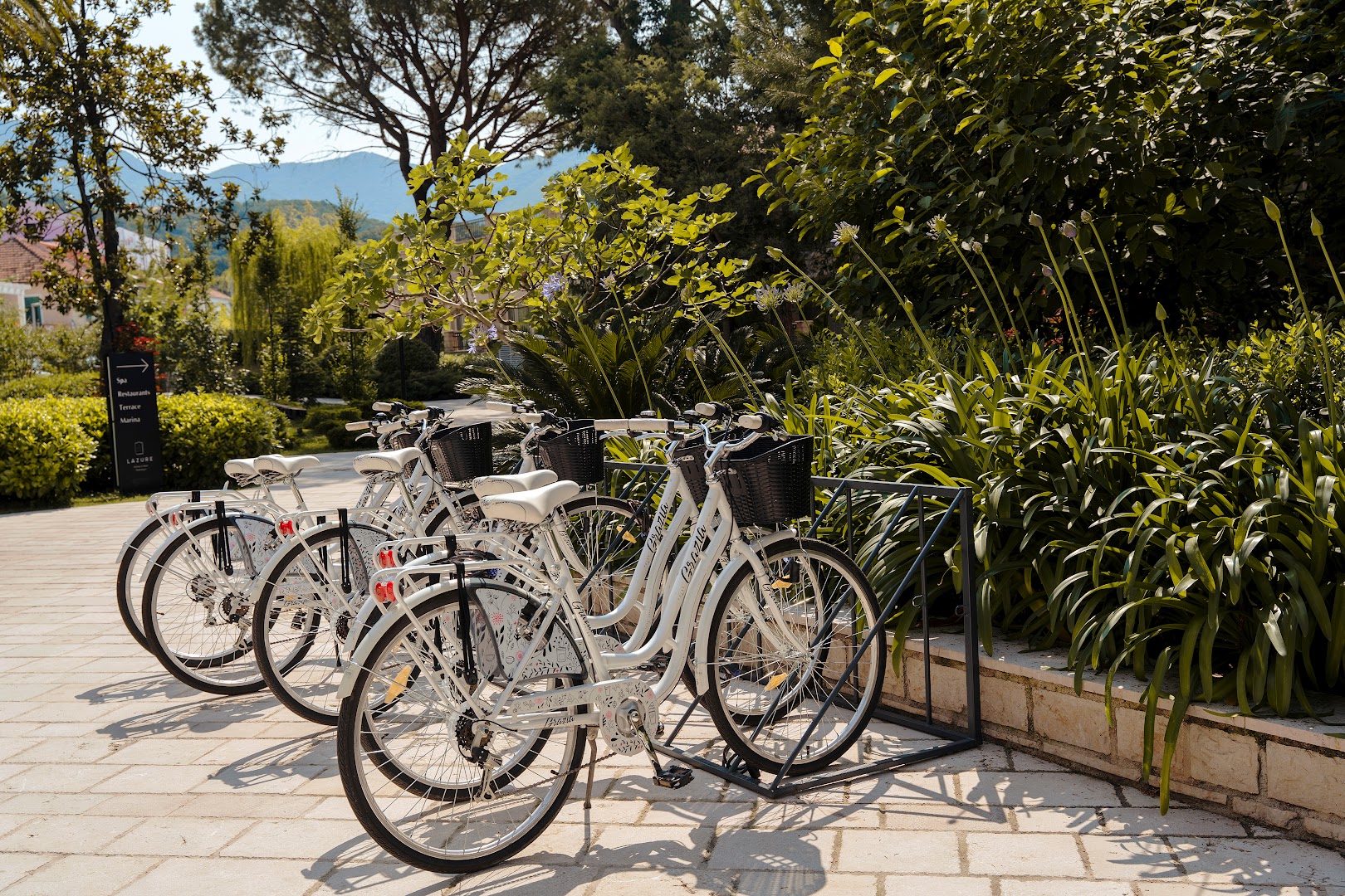 Viesnīcas Lazure Hotel & Marina balti pilsētas velosipēdi ar groziņiem, kas novietoti pie zaļojoša dārza viesu lietošanai