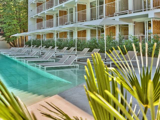 Skats uz Ibis Styles Golden Sands Roomer Hotel baseinu caur palmu lapām, sauļošanās krēsli un saulessargi rindā