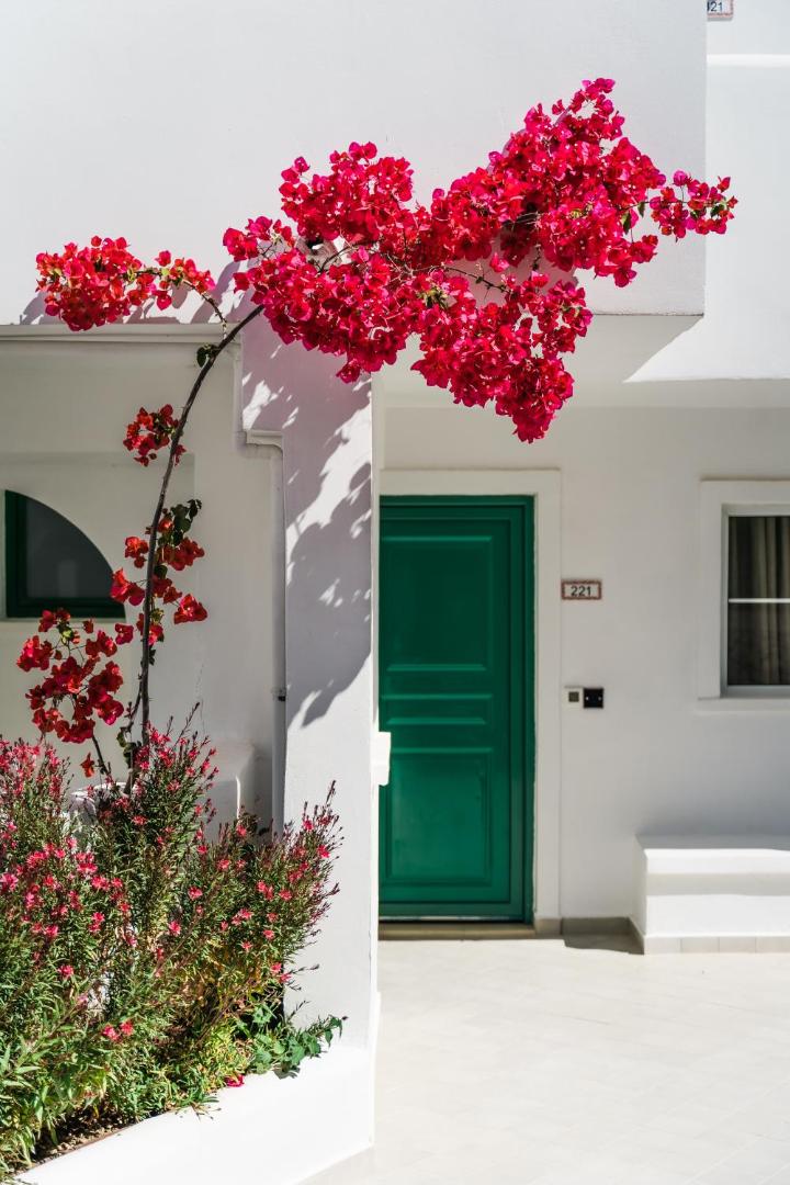 Lindos Village Resort & Spa numura ieeja ar zaļām durvīm un košiem bugenvillejas ziediem pie baltas sienas Rodas salā