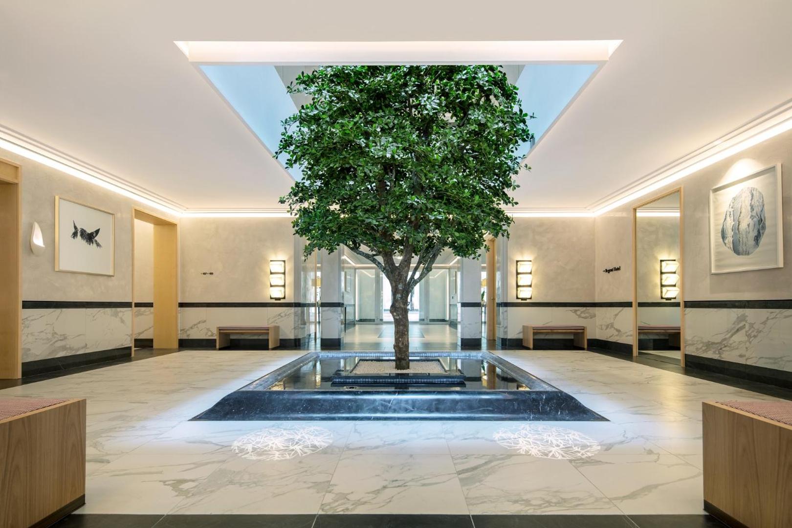 Regent Porto Montenegro iekšpagalms ar dekoratīvu koku centrā, marmora apdari un modernu apgaismojumu luksusa viesnīcā Tivatā