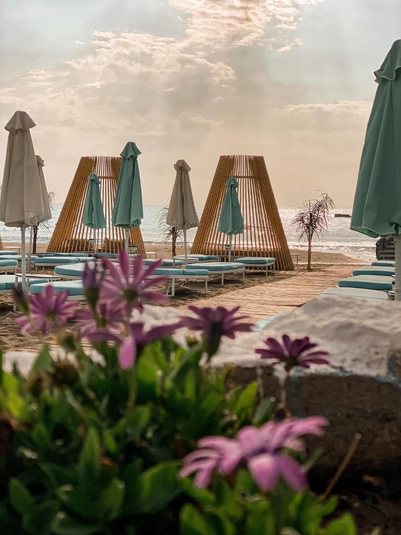 Skats caur ziediem uz Mitsis Faliraki Beach Hotel & Spa pludmali ar gaiši ziliem saulessargiem un stilīgām koka konstrukcijām