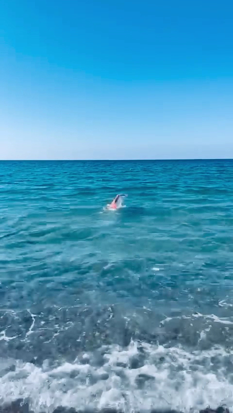 Cilvēks peldas dzidrā Vidusjūras ūdenī pie Alianthos Garden Hotel pludmales Krētas dienvidu piekrastē