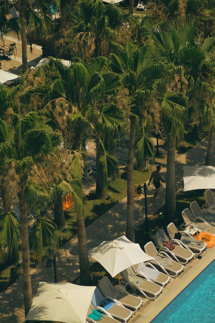 Castival Hotel dārza zona ar palmām un sauļošanās krēsliem pie baseina — mājīga atmosfēra un tropiski augi