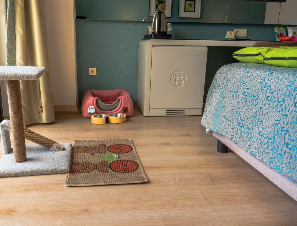 Castival Hotel mājdzīvniekiem draudzīgs numurs ar speciālu gultiņu un skrāpējamo koku kaķim — viesnīcas ērtības četrkājainajiem draugiem