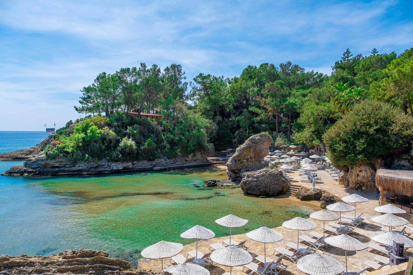 Utopia Beach Club pludmales zona ar daudziem saulessargiem un sauļošanās krēsliem pie tirkīza līča, ko ieskauj priežu mežs