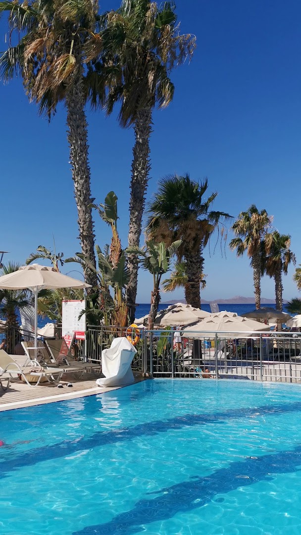 Skats no Armonia Holiday Village & Spa baseina malas uz Egejas jūru ar augstām palmām un atpūtas zonu.