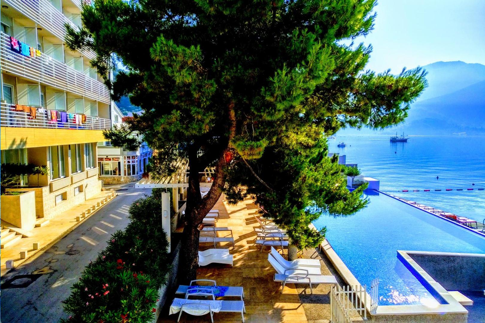 Carine Hotel Delfin viesnīcas ēka un āra baseins priežu pavēnī Melnkalnē — skats uz Kotoras līci un kalniem