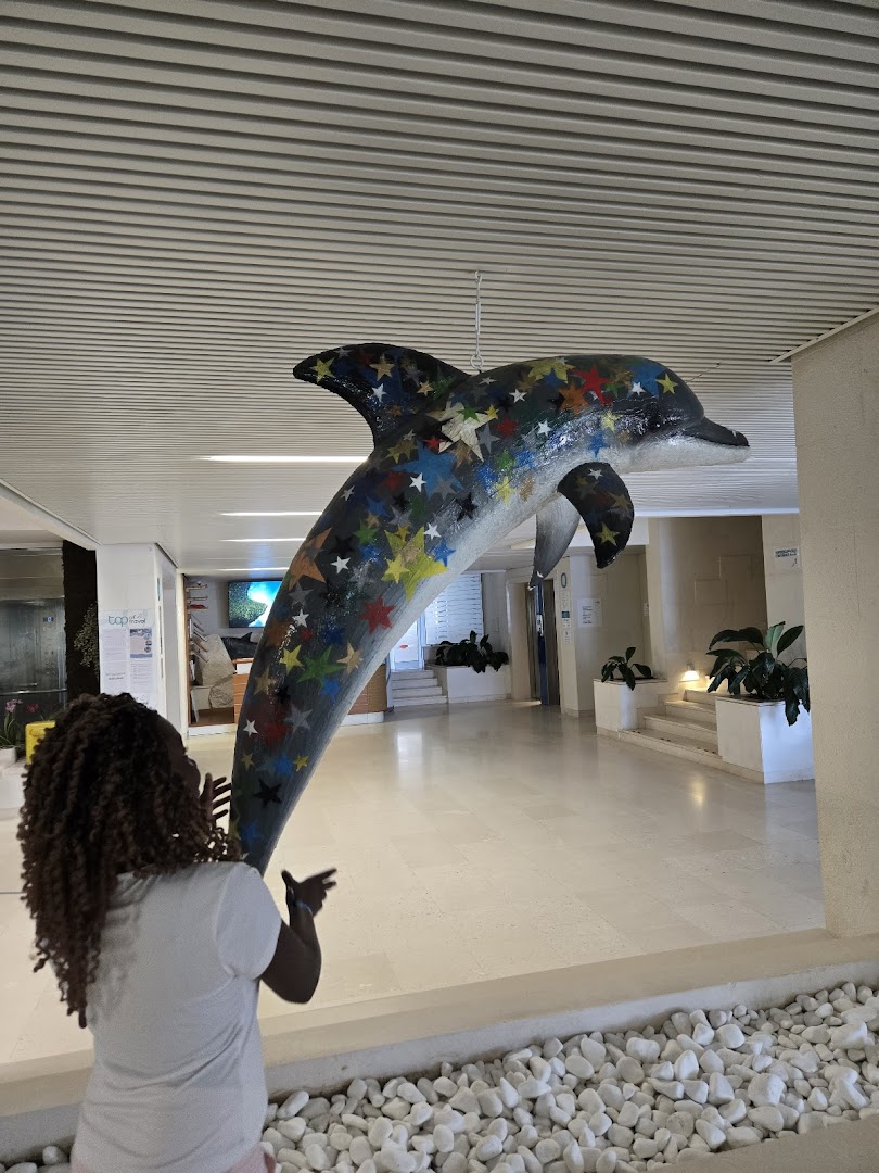 Carine Hotel Delfin vestibils ar lielu, krāsainu delfīna skulptūru un viesi — gaišs interjers ar akmens elementiem Bijelā, Melnkalnē