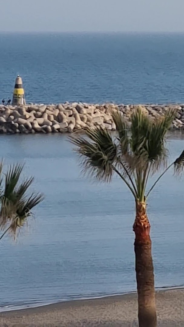 Tuvplāns ar palmu un jūras krastu pie Ocean House Costa del Sol viesnīcas, fonā akmeņu mols un bāka