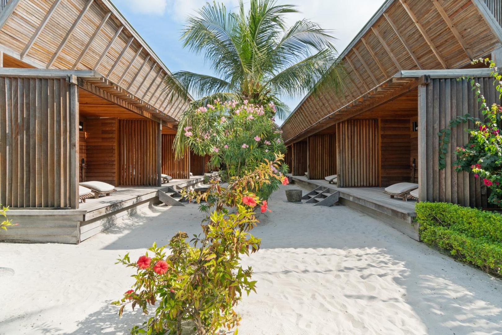 The Barefoot Eco Hotel koka bungalo terases ar sauļošanās krēsliem un tropu augiem smilšainā pagalmā Maldivu salās