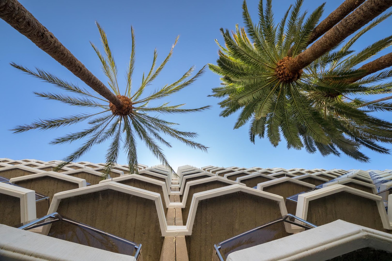 Māksliniecisks skats no apakšas uz Barceló Margaritas balkoniem un divām augstām palmām pret skaidri zilām debesīm