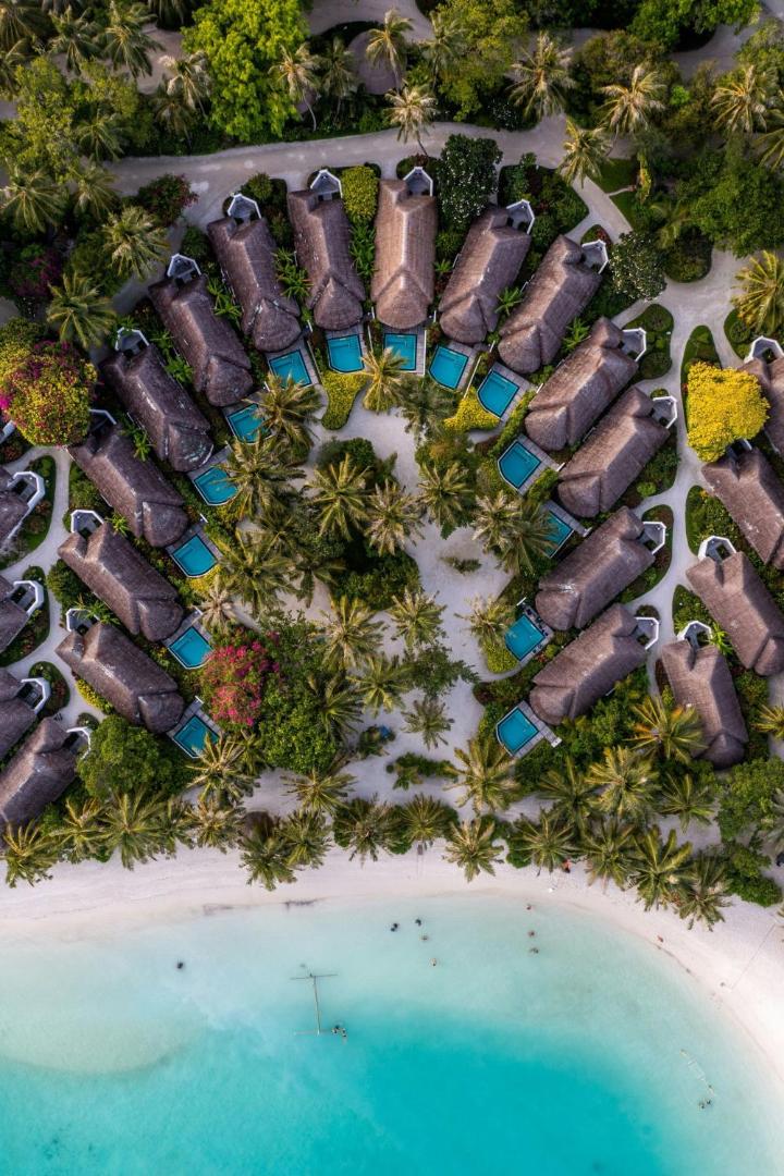 Sheraton Maldives Full Moon Resort & Spa skats no putna lidojuma uz bungalo rindu piekrastē ar privātiem baseiniem un palmām