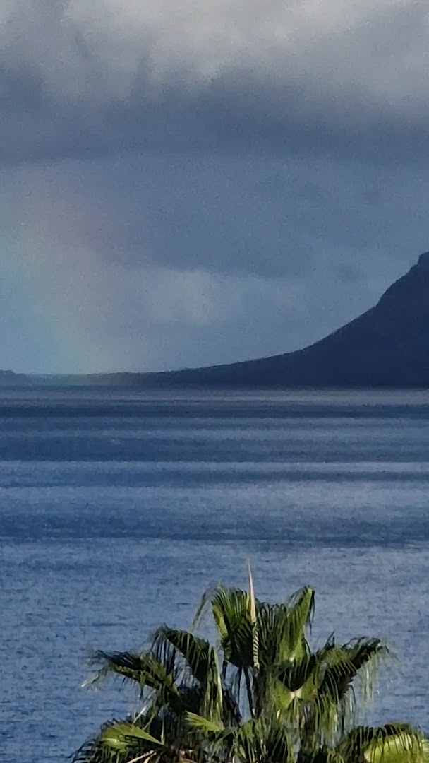 Tāls skats uz okeānu un kalnu siluetu no Vigilia Park Apartamentos ar palmas lapām priekšplānā Tenerifē