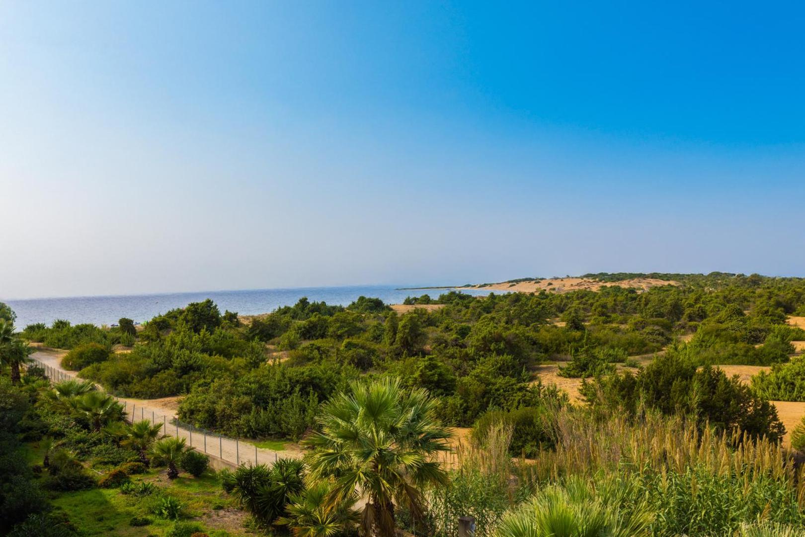 Panorāmas skats no Sandy Beach Resort uz zaļo piekrastes zonu un zilo jūru horizontā — dabas ainava kūrorta apkārtnē