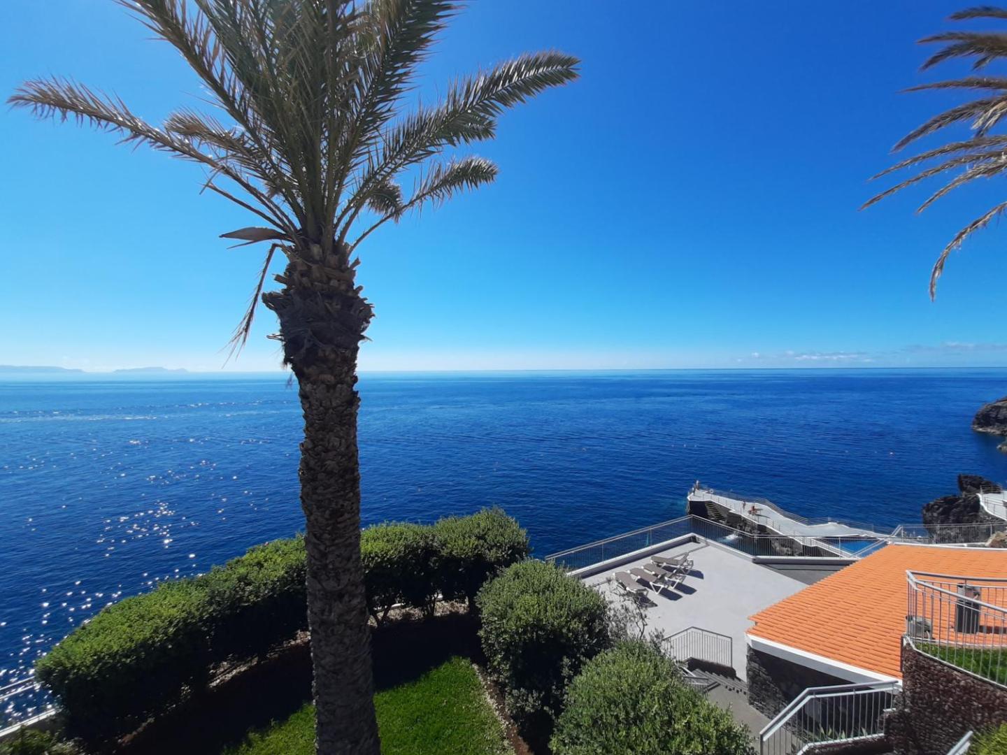 Rocamar Lido Resort skats no terases uz Atlantijas okeānu Madeirā — palma priekšplānā, sauļošanās zona un zils ūdens horizontā