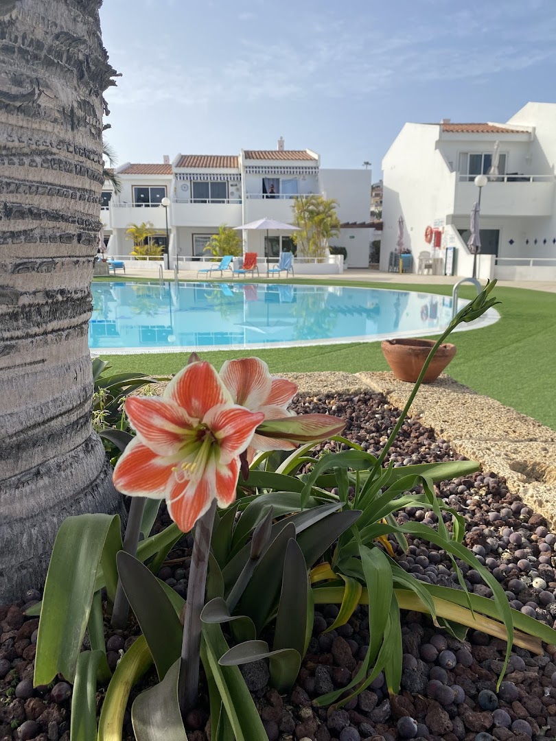 Tuvplāns ar ziedošām lilijām Malibu Park Apartments dārzā – fonā redzams baseins un viesnīcas apartamentu komplekss