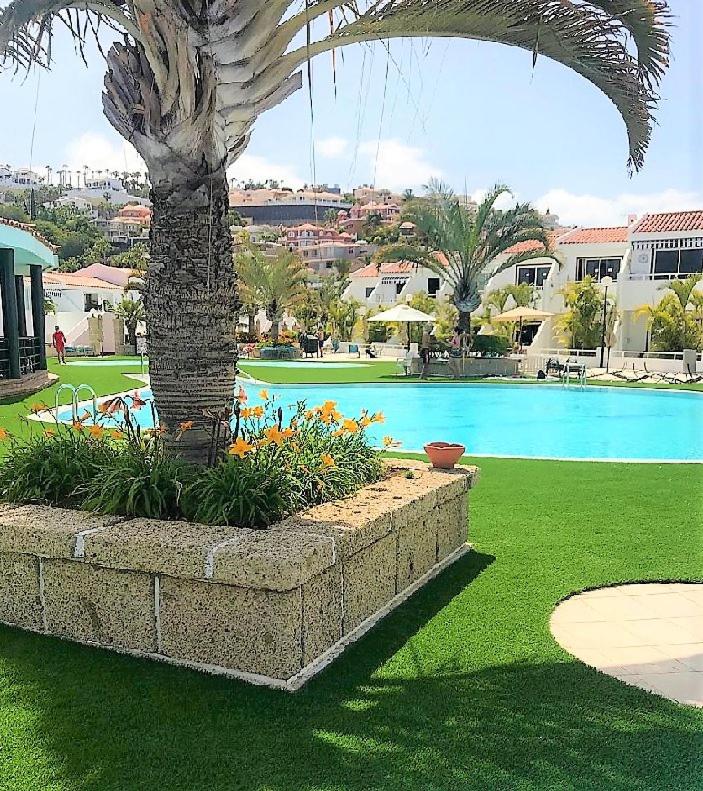 Skats uz Malibu Park Apartments baseinu caur palmu lapām un ziedošām puķu dobēm – fonā redzami kūrorta kalni un baltie apartamenti