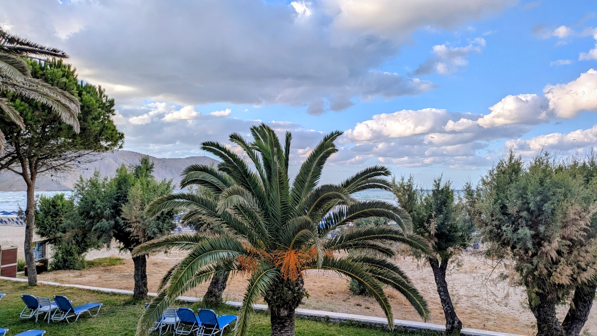 Mare Village skats uz pludmali un jūru caur palmām un priedēm, zili sauļošanās krēsli zālienā piekrastē