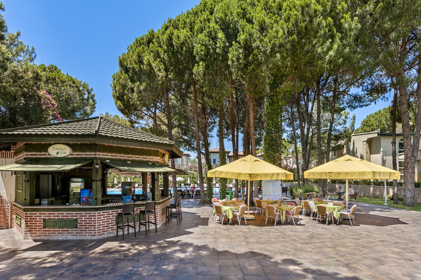 Pine Beach Belek bārs Botanic Bar priežu dārzā — mūra lete, koka krēsli un galdiņi zem dzelteniem saulessargiem Belekas kūrortā