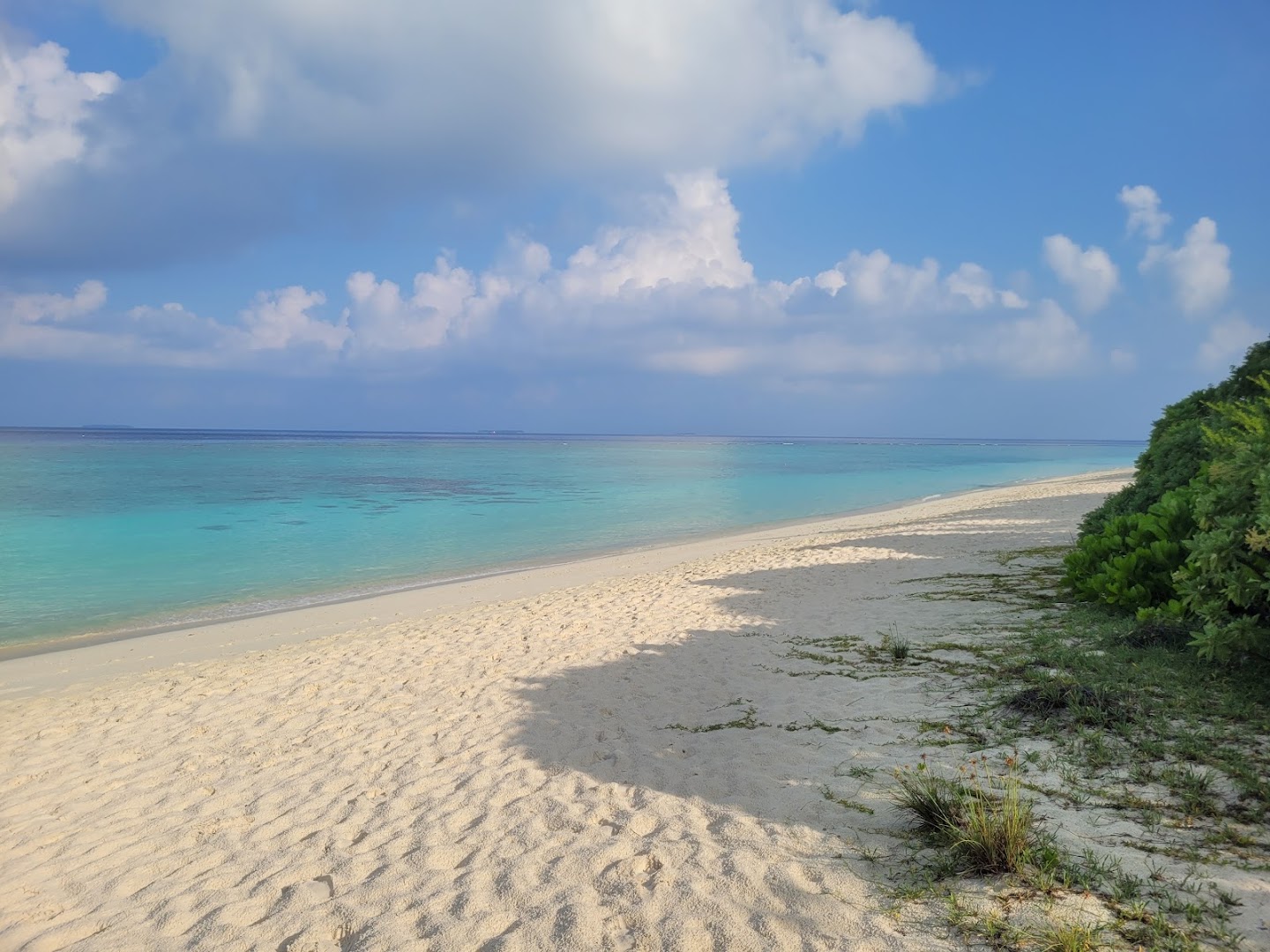 Ifuru Island Maldives kūrorta sniegbaltā smilšu pludmale pie tirkīzzila okeāna ūdens ar tropu zaļumiem un saulainām debesīm