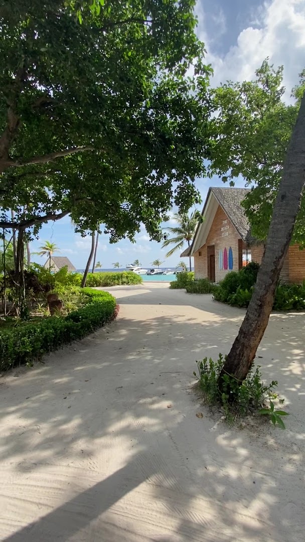 Ifuru Island Maldives pludmales klubs The Beach Club, smilšains celiņš caur palmu birzi uz okeāna krastu