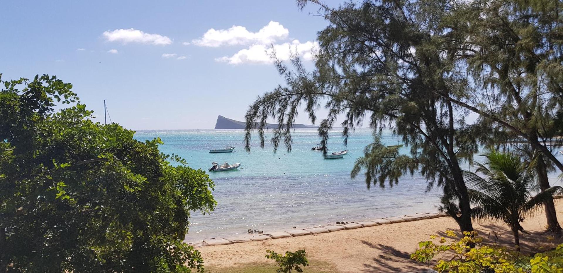 Skats uz tirkīza krāsas okeānu un laivām caur Allamanda viesnīcas tropiskajiem kokiem.