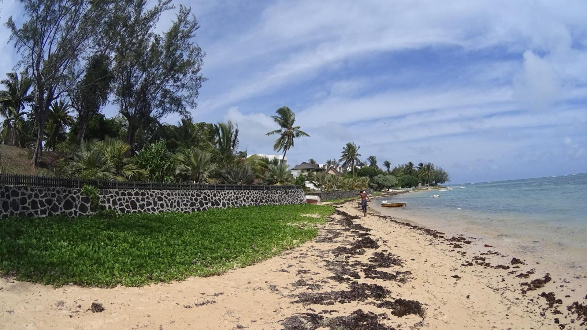 Smilšaina pludmale ar palmām, akmens mūri un skatu uz okeānu.