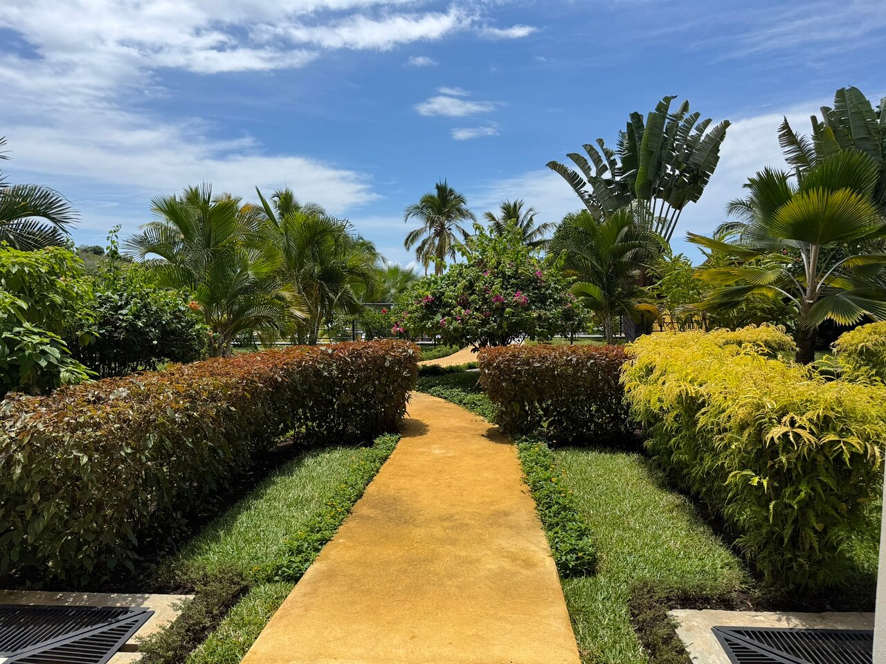 Gaišs gājēju celiņš caur koptu tropu dārzu ar palmām un krāšņiem krūmiem.