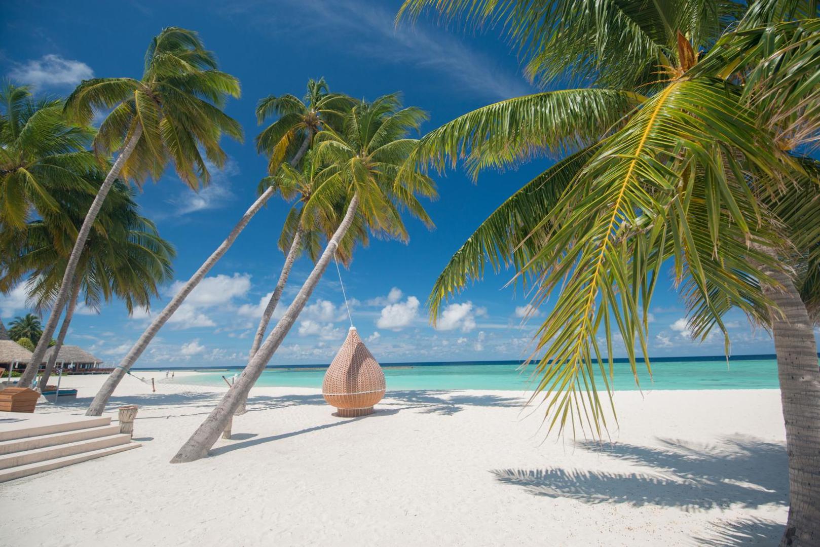 Veligandu Maldives Resort Island pludmales skats ar augstām palmām, baltām smiltīm un unikālu pītu atpūtas krēslu, kas iekārts kokā