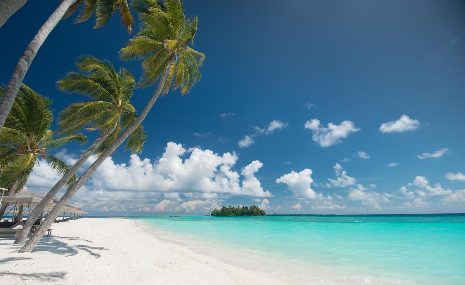 Veligandu Maldives Resort Island balto smilšu pludmale ar noliektām palmām un skatu uz tālumā esošu zaļu salu