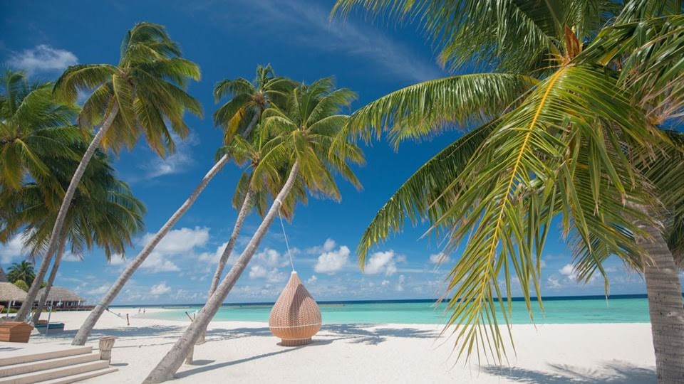 Veligandu Maldives Resort Island panorāmas skats uz pludmali ar palmām un iekārtu atpūtas krēslu pie dzidra, gaiši zila ūdens