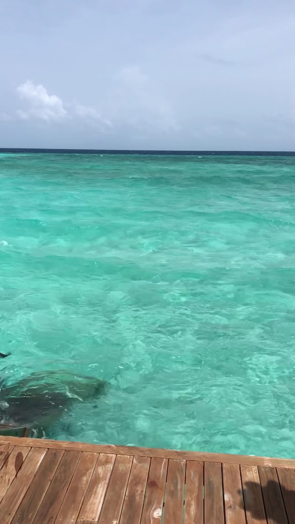 Veligandu Maldives Resort Island skats no koka terases uz dzidru, gaiši zilu okeāna ūdeni un horizontu saulainā dienā
