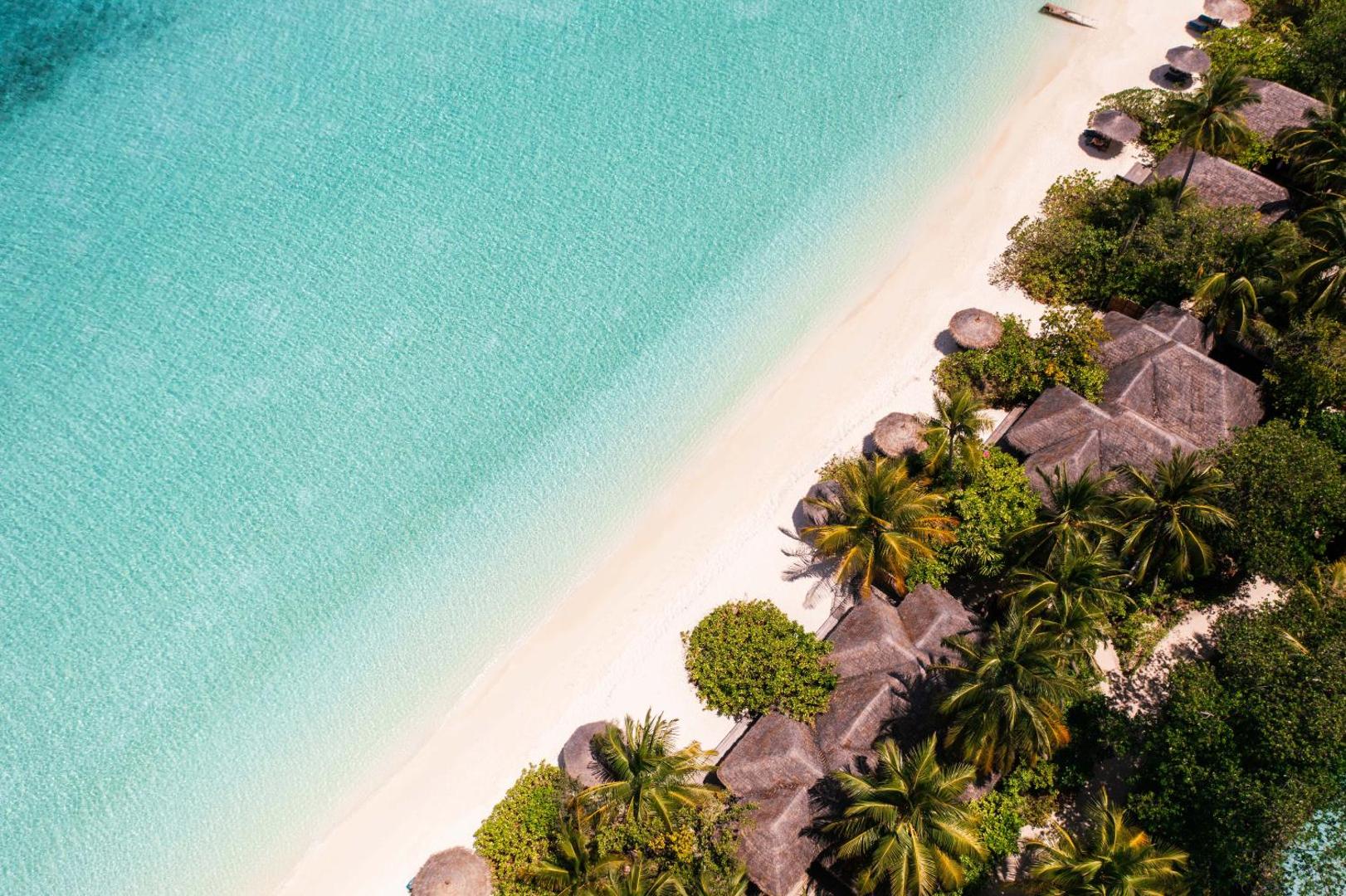 Veligandu Maldives Resort Island skats no augšas uz pludmales bungalo, kas ieskauti blīvā palmu mežā blakus kristāldzidram okeānam