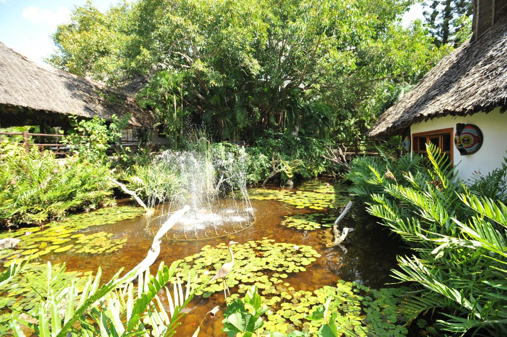 Leopard Beach Resort & Spa dīķis ar strūklaku un ūdensrozēm, ko ieskauj bungalo ar niedru jumtiem