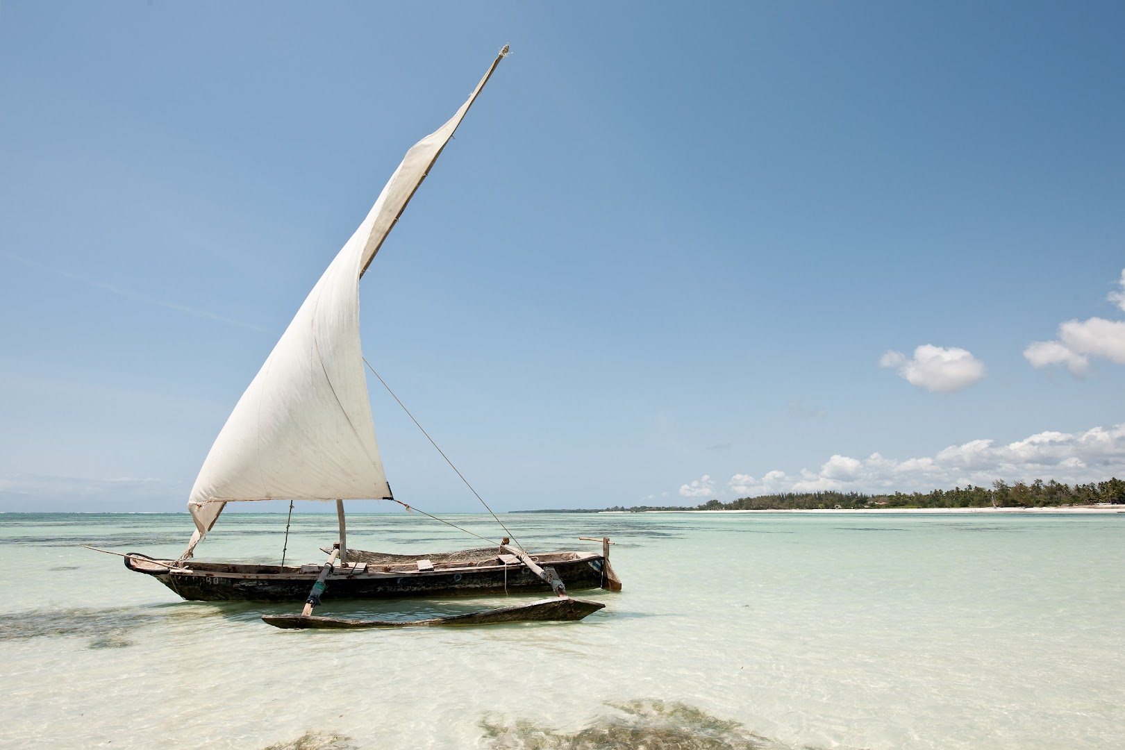Tradicionālā Zanzibāras koka buru laiva seklā, dzidrā okeāna ūdenī pie Neptune Village Beach Resort pludmales