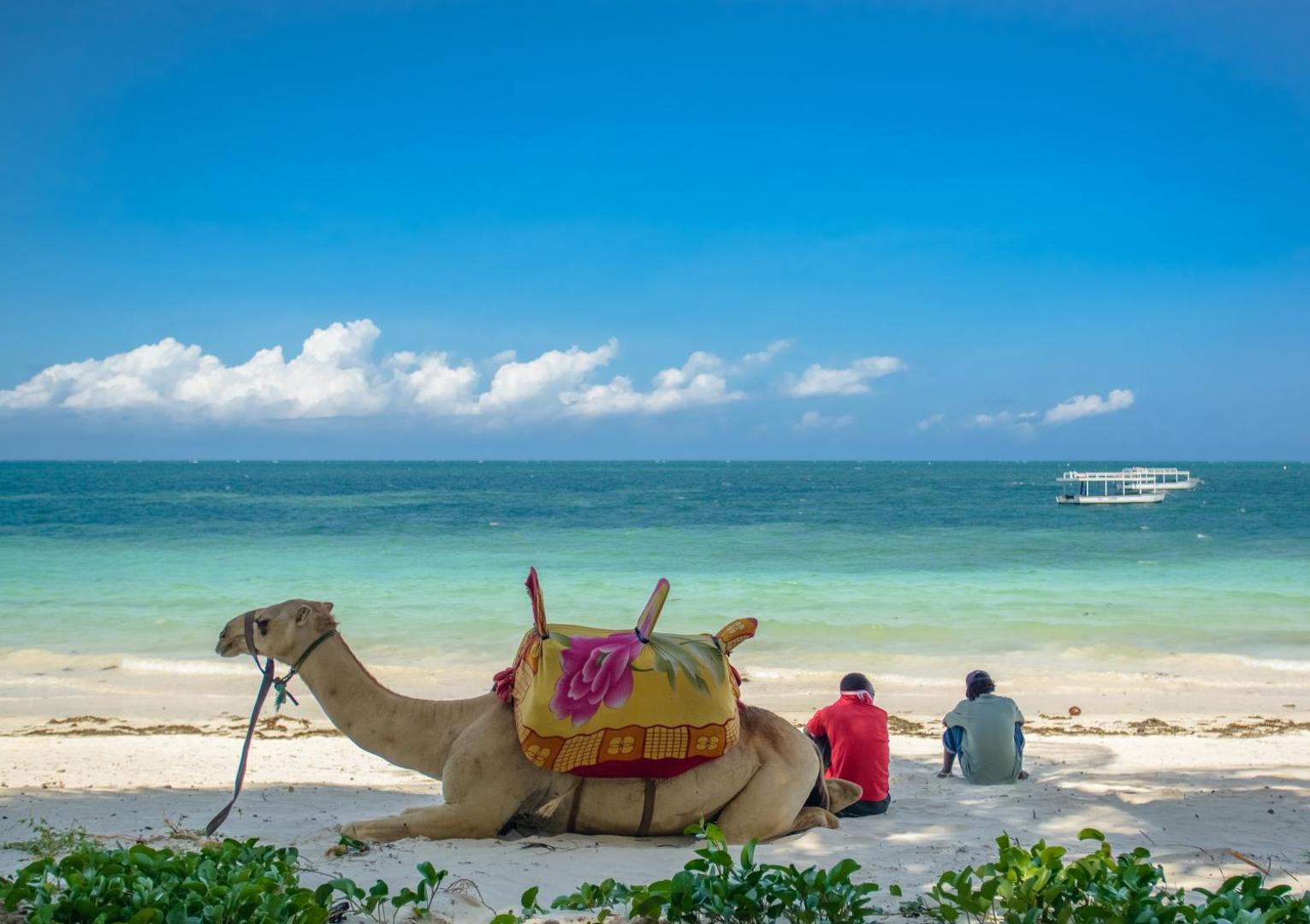 Kamielis un vietējie iedzīvotāji Sarova White Sands Beach Resort & Spa baltajās smiltīs pie tirkīzzilā ūdens Mombasas piekrastē