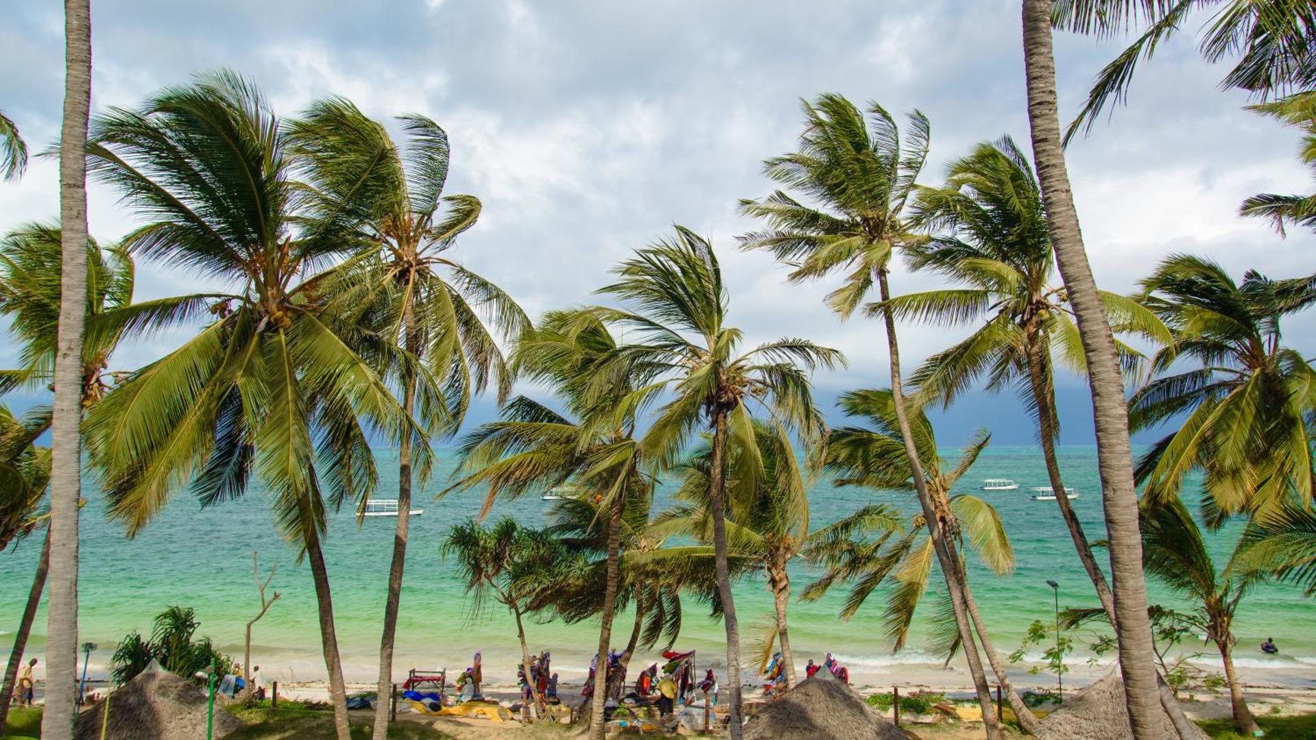 Sarova White Sands Beach Resort & Spa skats uz Indijas okeānu caur palmām Mombasā, Kenijā — tirkīza ūdens un balto smilšu pludmale