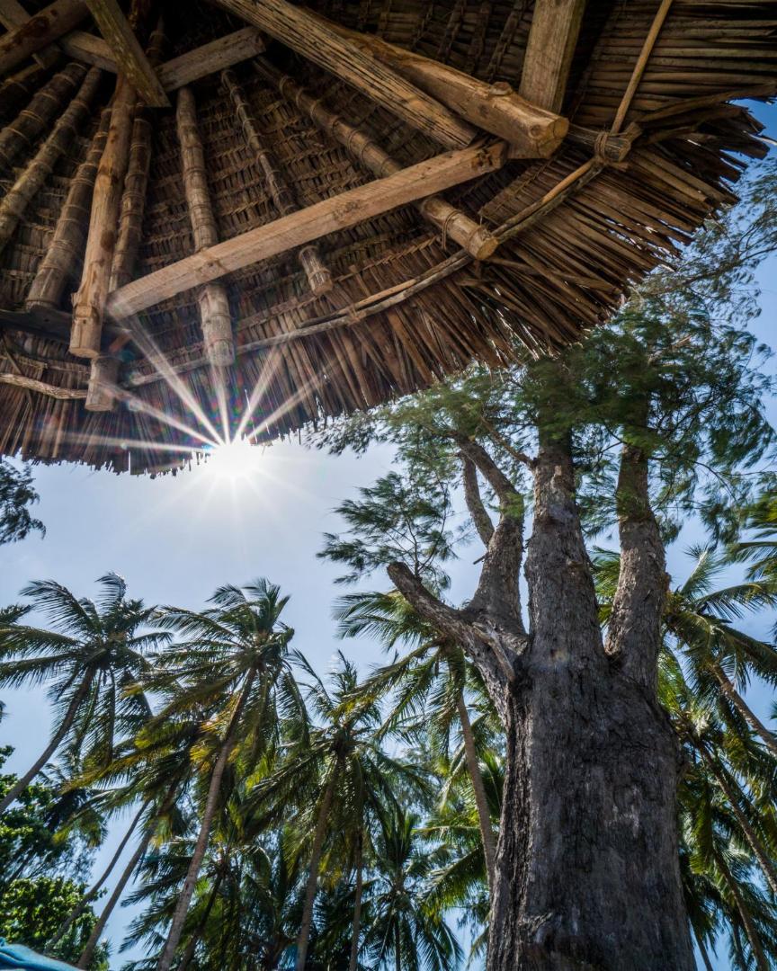 Skats uz augšu no Diani Sea Lodge atpūtas zonas — tradicionāls niedru jumts, palmas un spoža saule zilās debesīs