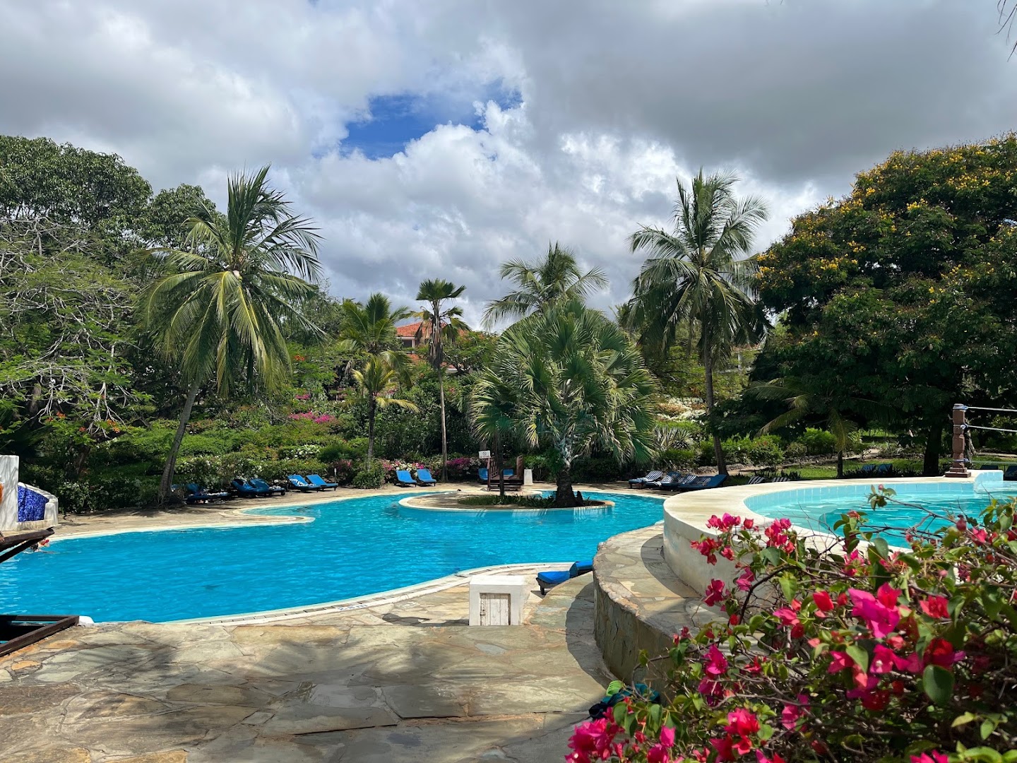 Diani Sea Lodge dārza baseins ar tropiskiem augiem un ziedošiem krūmiem viesnīcas teritorijā Dianibīčā