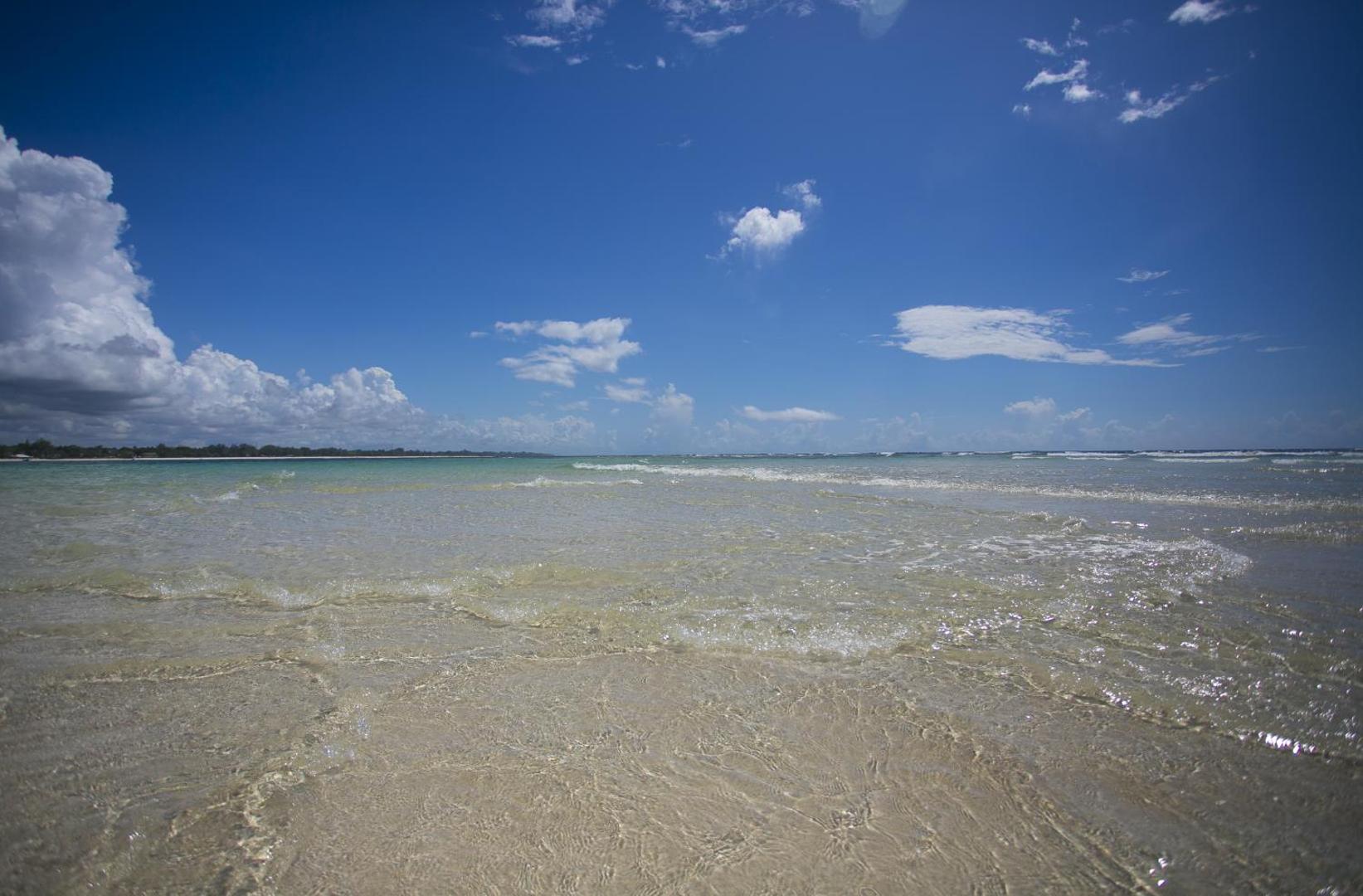 Diani Sea Resort skats uz Indijas okeāna dzidro piekrasti un smilšu sēkli bēguma laikā Dianibīčā, Kenijā — zilas debesis un mierīgs ūdens