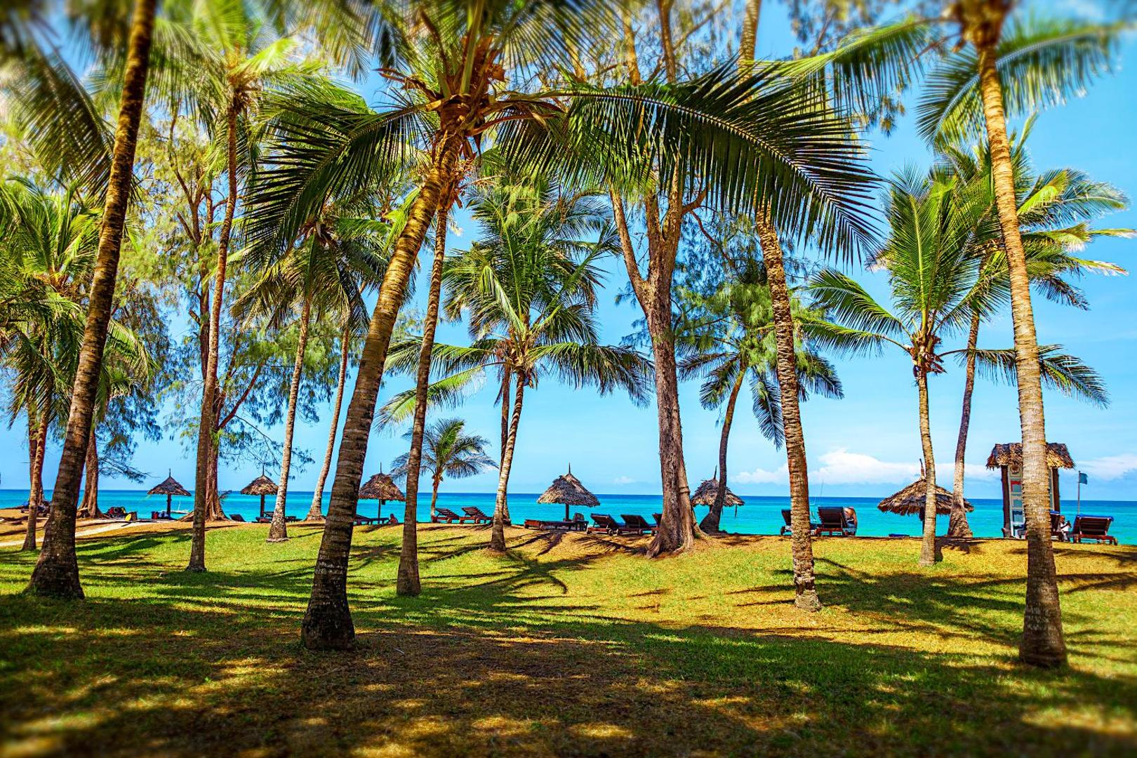 Diani Sea Resort viesnīcas dārzs ar augstām palmām un zālāju, fonā redzami saulessargi un tirkīzzils okeāns Kenijas piekrastē