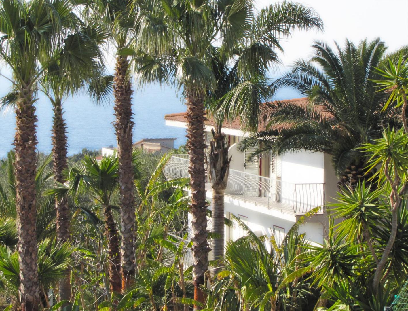 Skats caur palmām uz Tonicello Resort & Spa viesnīcas ēku ar balkoniem un jūras horizontu tālumā.