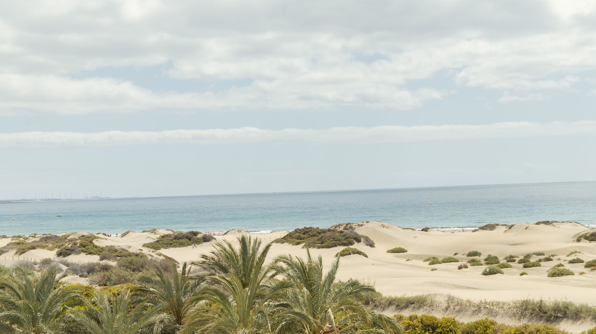 Skats no Santa Mónica Suites Hotel uz Maspalomas kāpām un Atlantijas okeānu — saulaina ainava ar palmām un smilšu kalniem