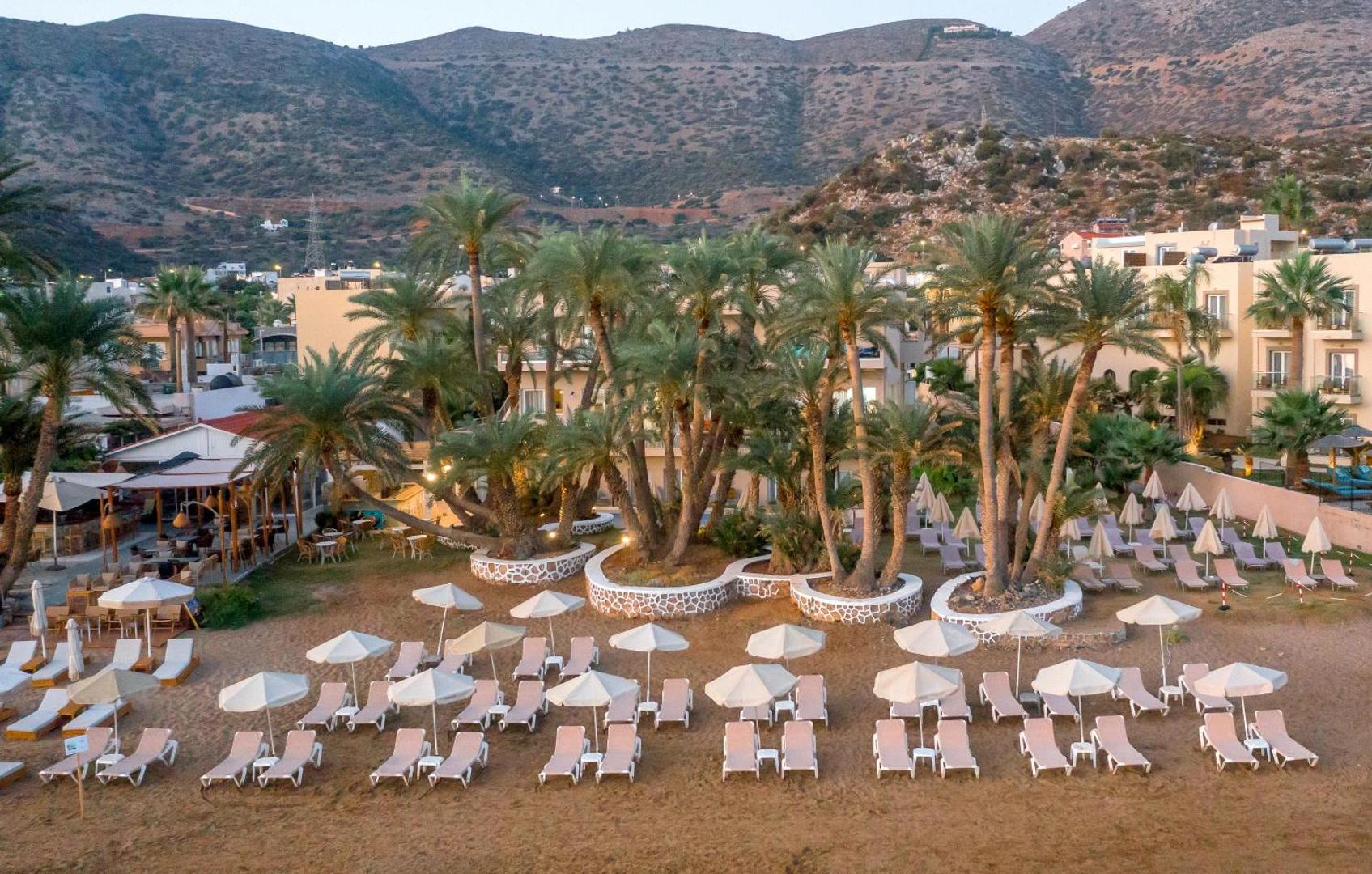 Zeus Palm Beach Hotel teritorijas skats ar palmām, sauļošanās krēsliem un kalnu fonu Stalidā, Krētā