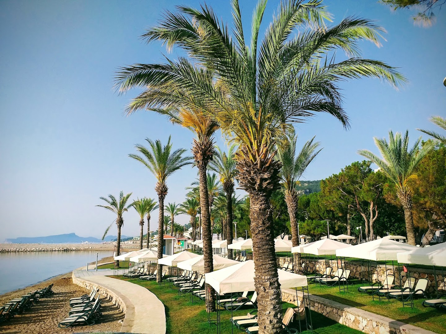 Rixos Sungate pludmales zona ar palmām un saulessargiem Kemeras piekrastē — labiekārtota atpūtas vieta zālienā pie smilšu pludmales