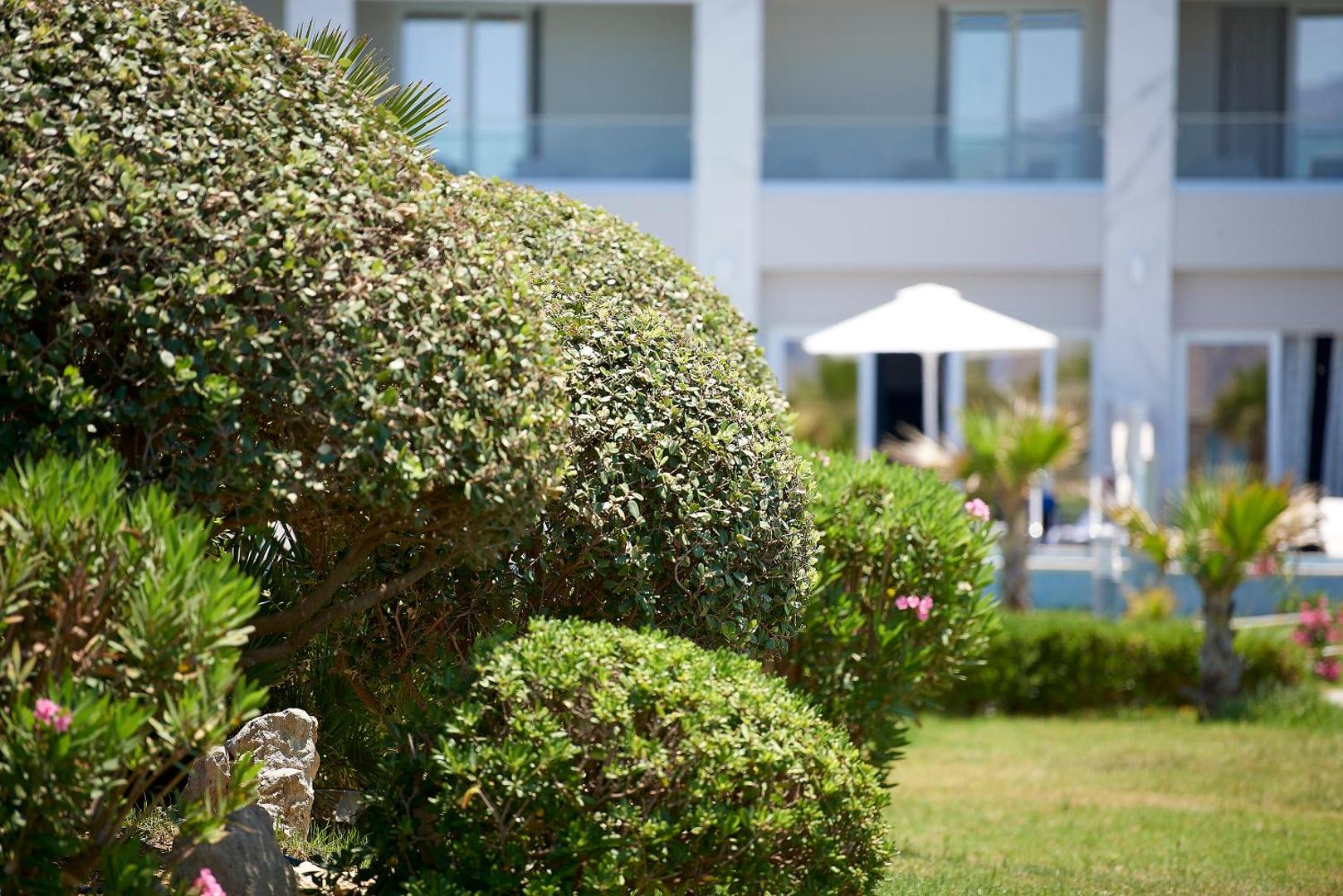 Mythos Palace Resort & Spa viesnīcas dārzs ar koptiem krūmiem un zālāju, fonā redzama ēkas fasāde un saulessargi