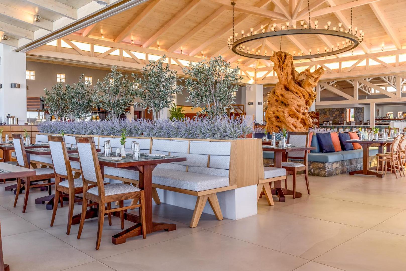 Ikaros Beach Resort & Spa galvenais restorāns ar modernu interjeru, koka griestiem un dekoratīviem olīvkokiem Malijā, Krētā