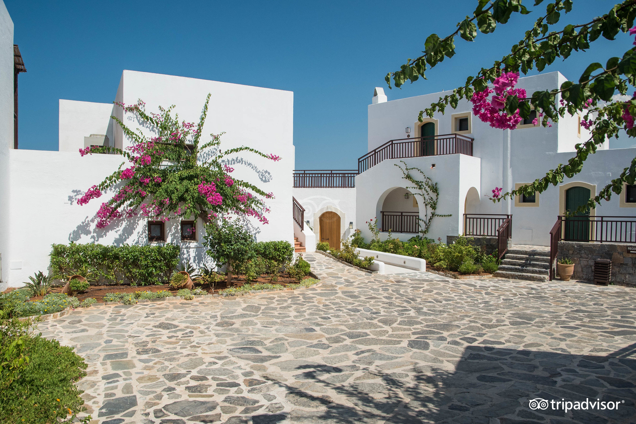 Creta Maris Resort baltas arhitektūras ēkas ar ziedošām bugenvillijām un akmens bruģa celiņiem tradicionālā grieķu ciemata stilā