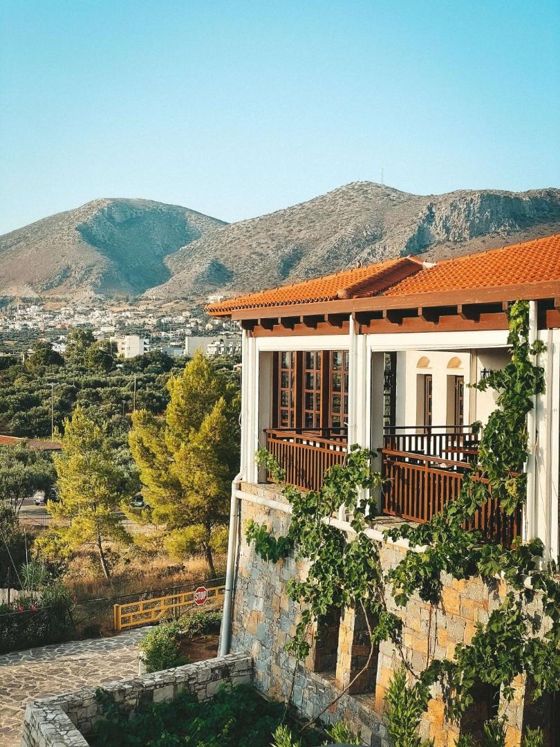 Skats no Creta Maris Resort terases uz Krētas kalniem un olīvkoku audzēm saulrieta gaismā pie akmens mūra ēkas